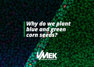 Why do we plant blue and green corn seeds?  