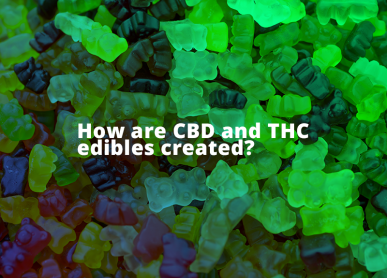 How are CBD and THC edibles created?